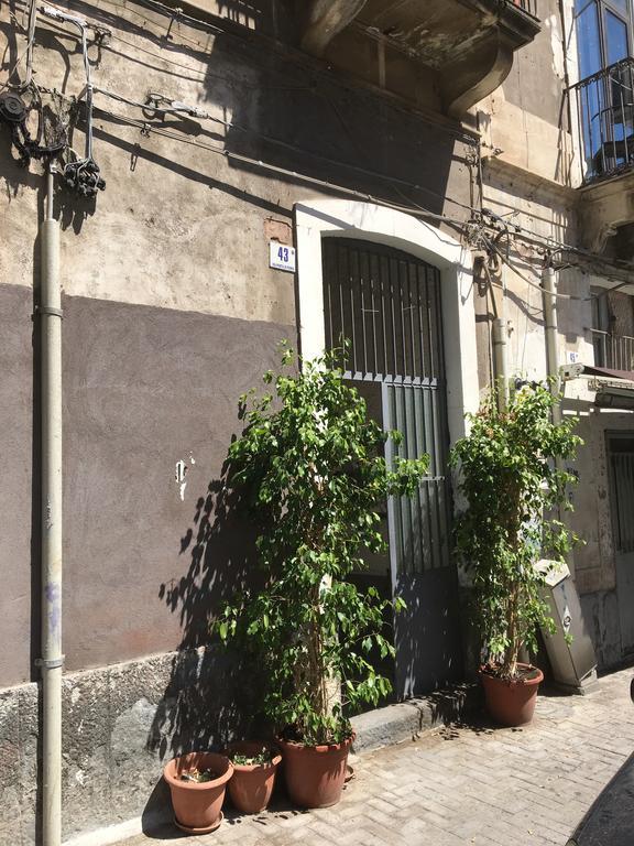 Casa Vacanza Civita Catania Centro Zewnętrze zdjęcie